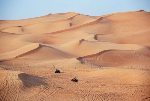 Dubai: Morning Desert Safari