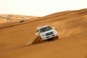 Dubai: Morning Desert Safari
