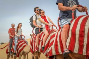 Dubai: Adventure Quad Bike Safari, Camel Ride & Refreshments