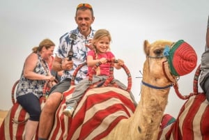 Dubai: Adventure Quad Bike Safari, Camel Ride & Refreshments