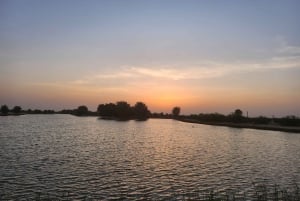 Dubai Nature Escape:Sunset Wildlife & Bird Watching in Oasis