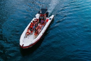 Dubai: New Year's Eve Spectacular Live Fireworks Aboard