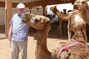 Dubai: Rundgang durch die Altstadt mit Abra-Fahrt