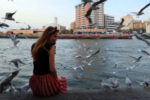 Dubai: Alt & Modern Geführte Halbtagestour durch die Stadt