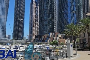 Dubai: Tour privato di mezza giornata della vecchia e della nuova Dubai