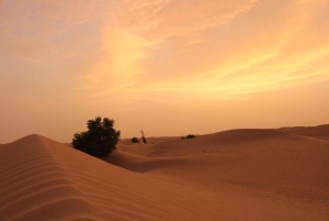 Dubai: Overnight Desert Safari with stay in Private Cabin