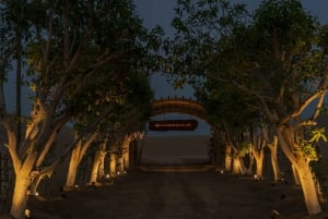 Dubai: Overnight Safari with Luxury Dome Stay & Stargazing