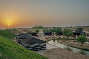 Dubai: Overnight Safari with Luxury Dome Stay & Stargazing