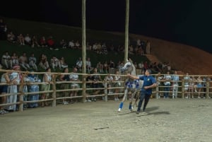 Dubai: Overnight Safari with Luxury Dome Stay & Stargazing