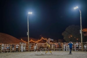 Dubai: Übernachtungssafari mit luxuriöser Übernachtung in einer Kuppel und Sternbeobachtung