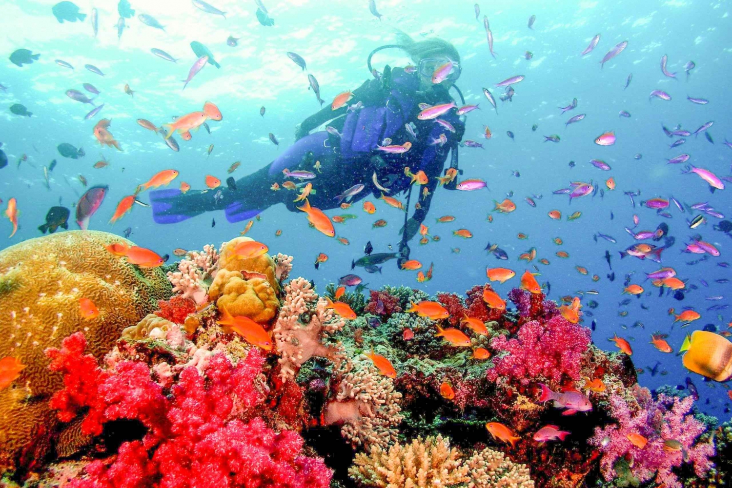 Dubaj: certyfikat PADI Open Water Diving 18-metrowy