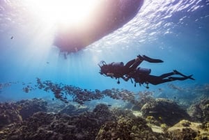 Dubaj: certyfikat PADI Open Water Diving 18-metrowy
