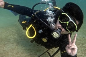 Padi Open Water Course With Elearning