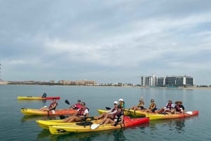 Dubai: Palm Jumeirah Guided Kayaking Tour