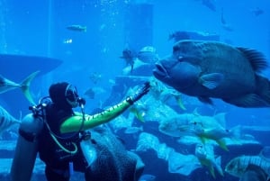 Dubai: Premium City Tour with Entry to View the Palm & Frame