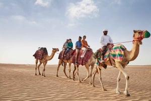Dubai: premium Sahara-kampsafari, kamelenrit en sandboarden