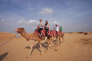 Dubai: Premium Red Dunes Safari, Camels & Al Khayma Live BBQ