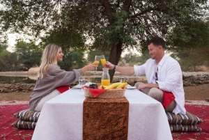 Dubai Premium Red Dunes Desert Safari: Camel Ride, Breakfast