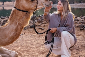Dubai Premium Red Dunes Desert Safari: Camel Ride, Breakfast