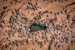 Dubai Premium Red Dunes Desert Safari: Camel Ride, Breakfast