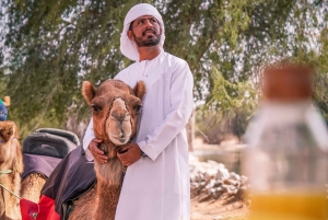 Dubai Premium Red Dunes Desert Safari: Camel Ride, Breakfast