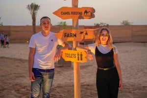 Dubaï : Premium Safari, balade à dos de chameau et Al Khayma Camp 3-Buffets