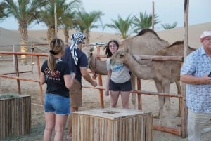 Dubai: Premium Safari, kamelenrit & Al Khayma Camp 3-buffetten