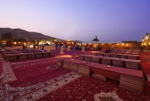 Dubaj: Premium Sahara Camp Safari, jazda na wielbłądzie i sandboarding