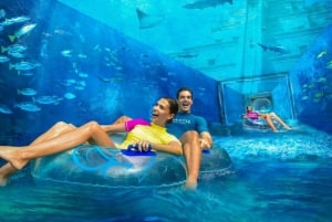 Dubai: Atlantis Aquaventure Park Ticket w/ Private Transfer