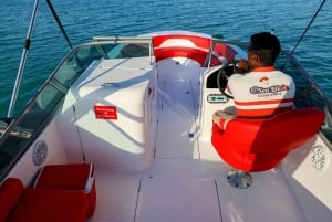 Dubaï : Tour en bateau privé - options JBR/Burj Al Arab/Atlantis