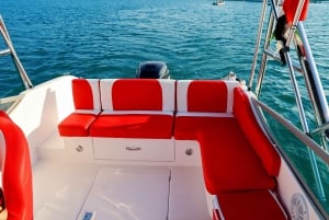 Dubaï : Tour en bateau privé - options JBR/Burj Al Arab/Atlantis