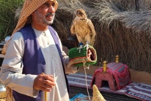 Dubai: Privat bytur med ramme og Burj Khalifa-billett