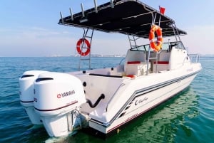 Dubai: Private Coastline Landmarks Mini-Yacht Tour