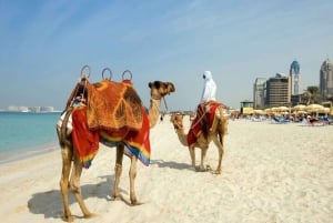 Dubai: Private custom tour with a local guide