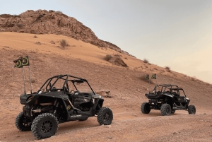 Dubai - privat Privat tur med ökenbuggy, kamelridning och sandboarding