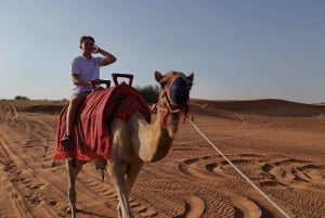 Dubai: Dune Buggy Safari and Camel Ride with Transportation