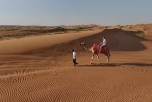 Dubai: Dune Buggy Safari and Camel Ride with Transportation