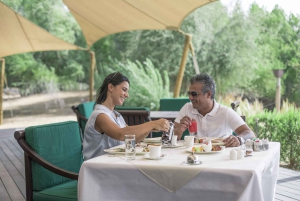 Dubái: cetrería privada, safari por el desierto y desayuno en Al Maha.