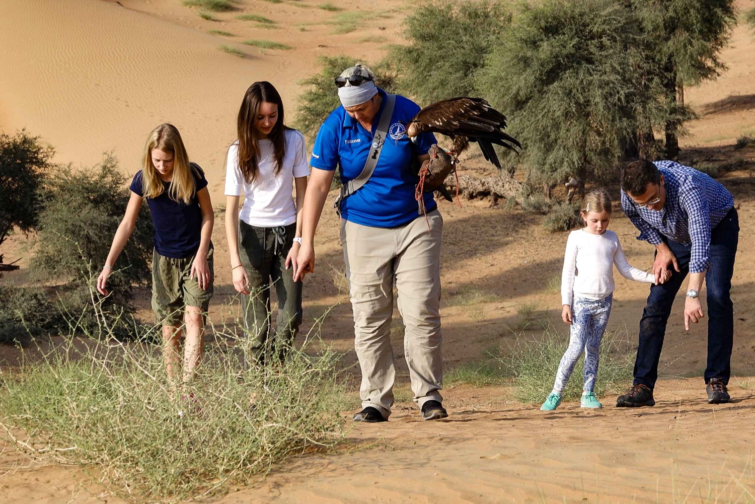 Dubai: Private Falknerei-Safari