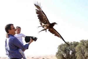Dubai: Private Falconry Safari