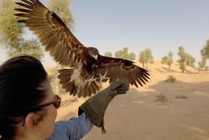 Dubaï : Safari privé de fauconnerie