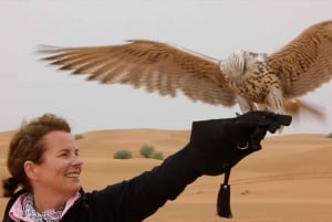 Dubai: safari di falconeria privato