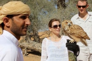 Dubai: Privat falkoner-safari