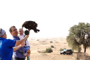 Dubai: Private Falknerei-Safari