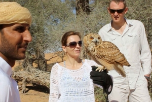 Dubai: Private Falknerei-Safari