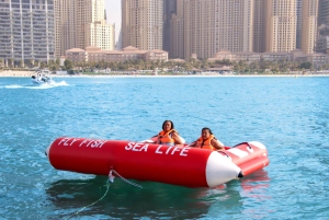 Dubai: Privat bådtur med fluefisk