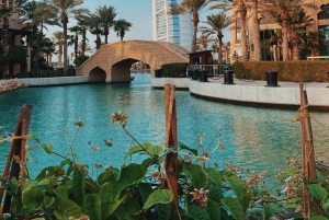 Dubai:Ingresso privato a cornici, moschee, souk, degustazioni e trasferimenti