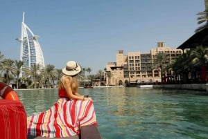 Dubaï : Visite guidée privée de la ville et billet d'entrée au cadre de Dubaï