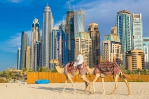 Dubaj: Prywatna półdniowa wycieczka krajoznawcza