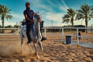 Dubai: Tour privado en globo aerostático sobre el desierto de Dubai
